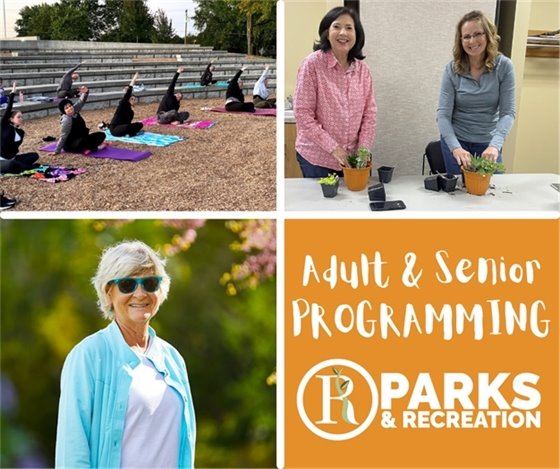 adult and senior programs