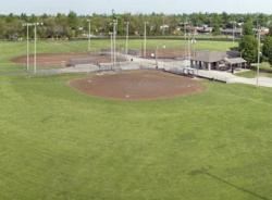 Bervin White Baseball Diamond